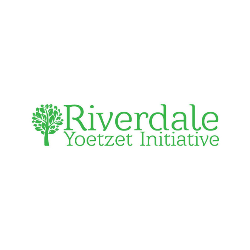 Read more about the article Riverdale Yoetzet Initiative